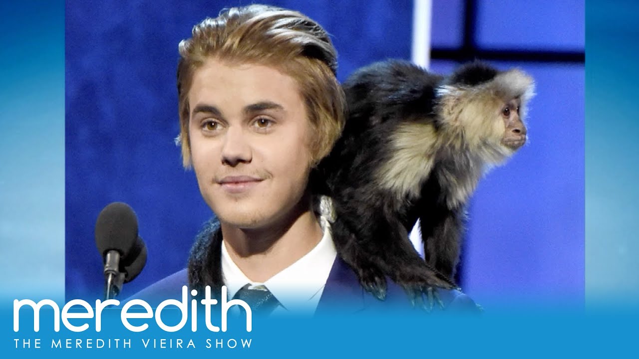Justin Bieber Wants Another Monkey? | The Meredith Vieira Show