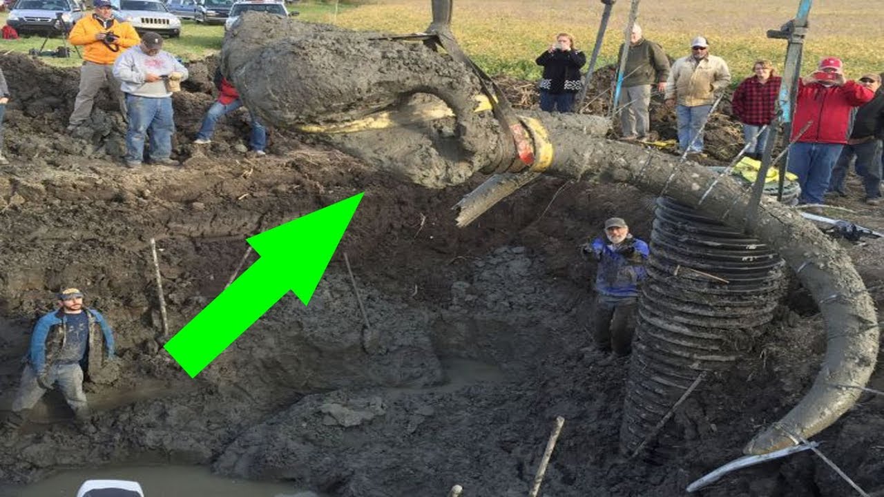 Farmer Digs Up Woolly Mammoth Bones In His Soy Field