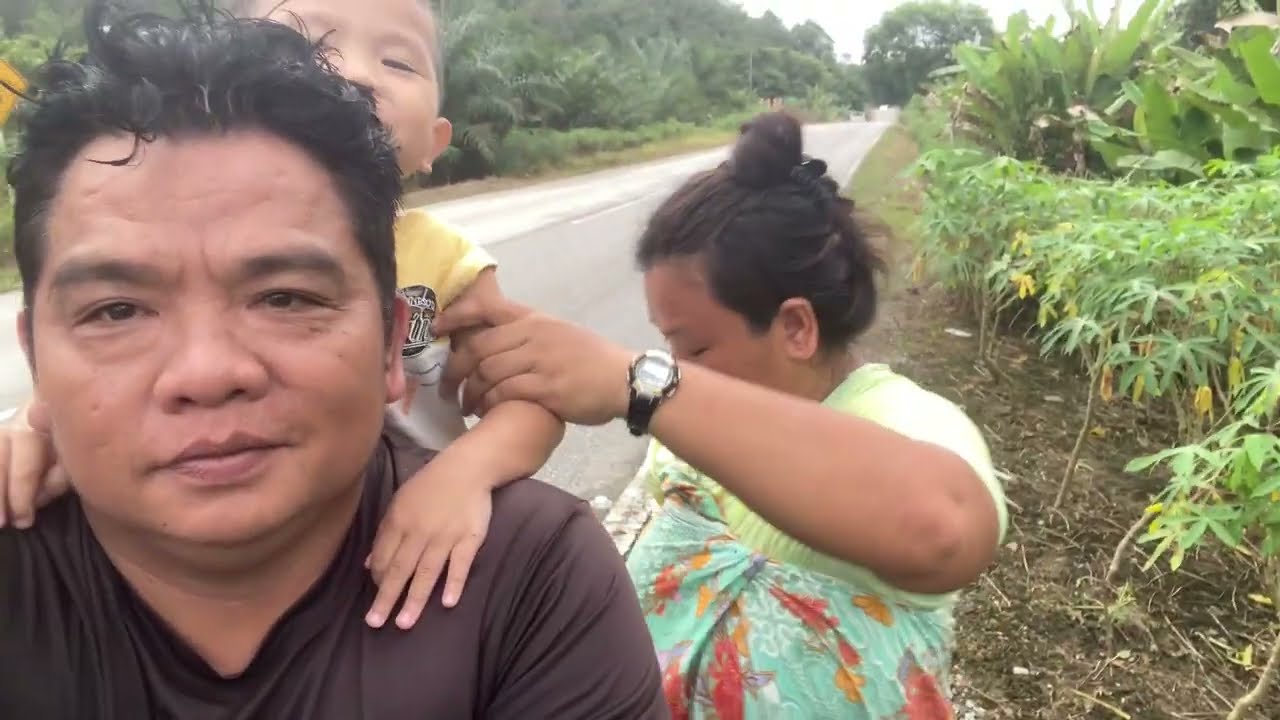 Daily Story,Mengambil Pisang Di Kebun