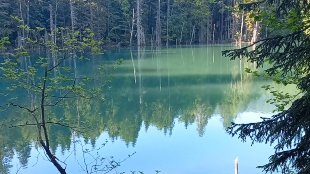 Karadeniz Batum Gürcistan gezimizde Artvin'deyiz  Kara Gölü geziyoruz Harika bir yer 