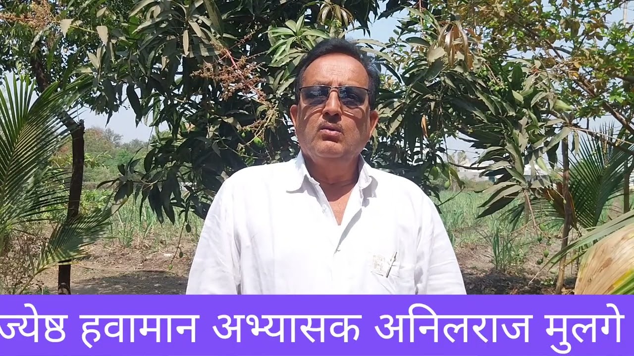 दिनांक २४ फेब्रुवारी.|आज राज्यात काही जिल्ह्यात स्थानिक वातावरणानुसार पावसाची शक्यता.|