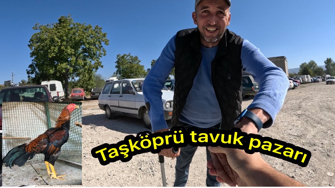Kastamonu Taşköprü-tavuk pazarında güncel fiyatları aldık yolda büyük üstat Erkan davulcuyu gördük