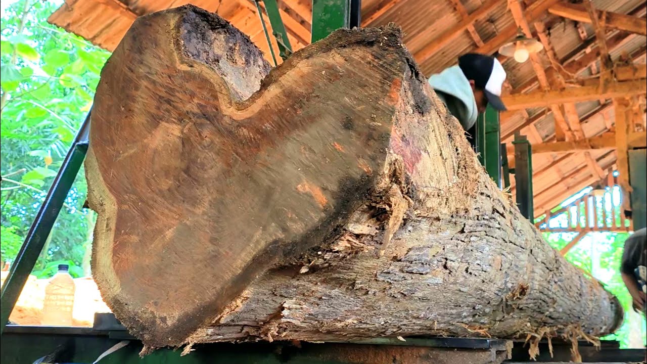 RARELY FOUND TEAK WOOD FIBER, the process of splitting wood in a sawmill 