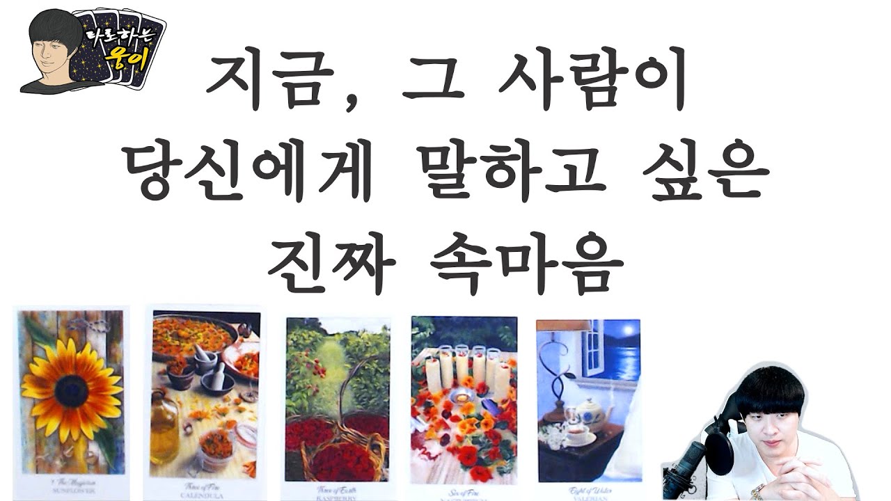 (타로) 지금 , 그 사람이 당신에게 말하고싶은 진짜 속마음
