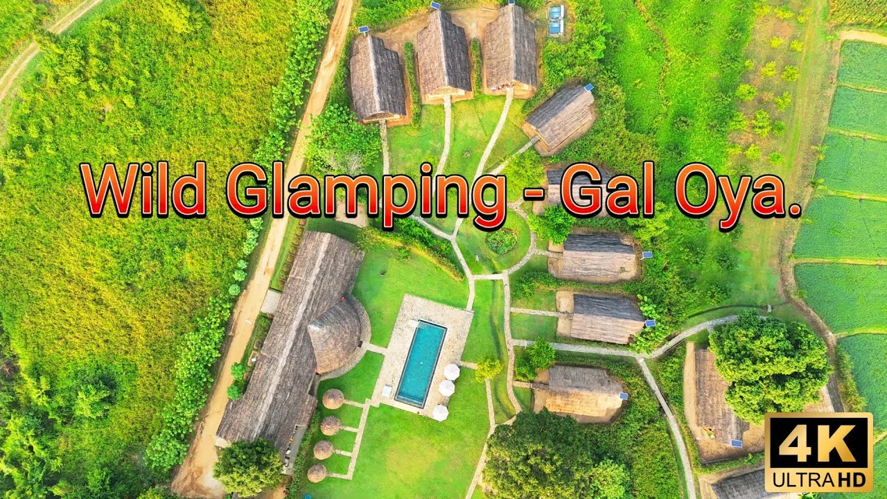 Wild Glamping Gal Oya. රතුගල ආදිවාසී පරපුර. #luxurycamping 
