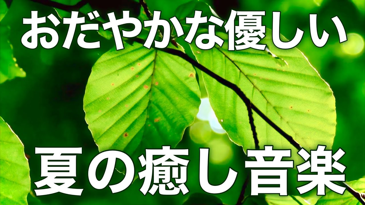 【癒しBGM】心が落ち着く優しいリラックス音楽、自律神経を整え不安やストレス解消のためのヒーリングミュージック/睡眠用・作業用・勉強用BGM