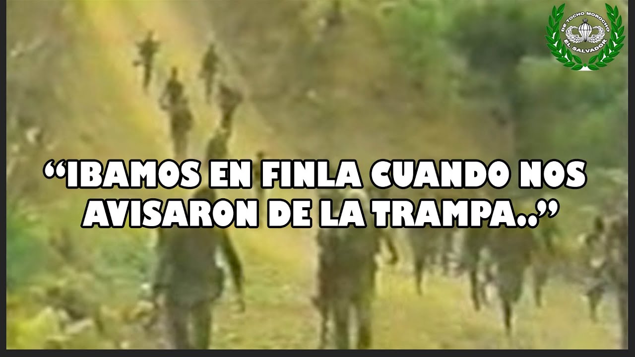 UNA SEÑORA QUIZO SALVARLOS  PERO... SUCHITOTO #3