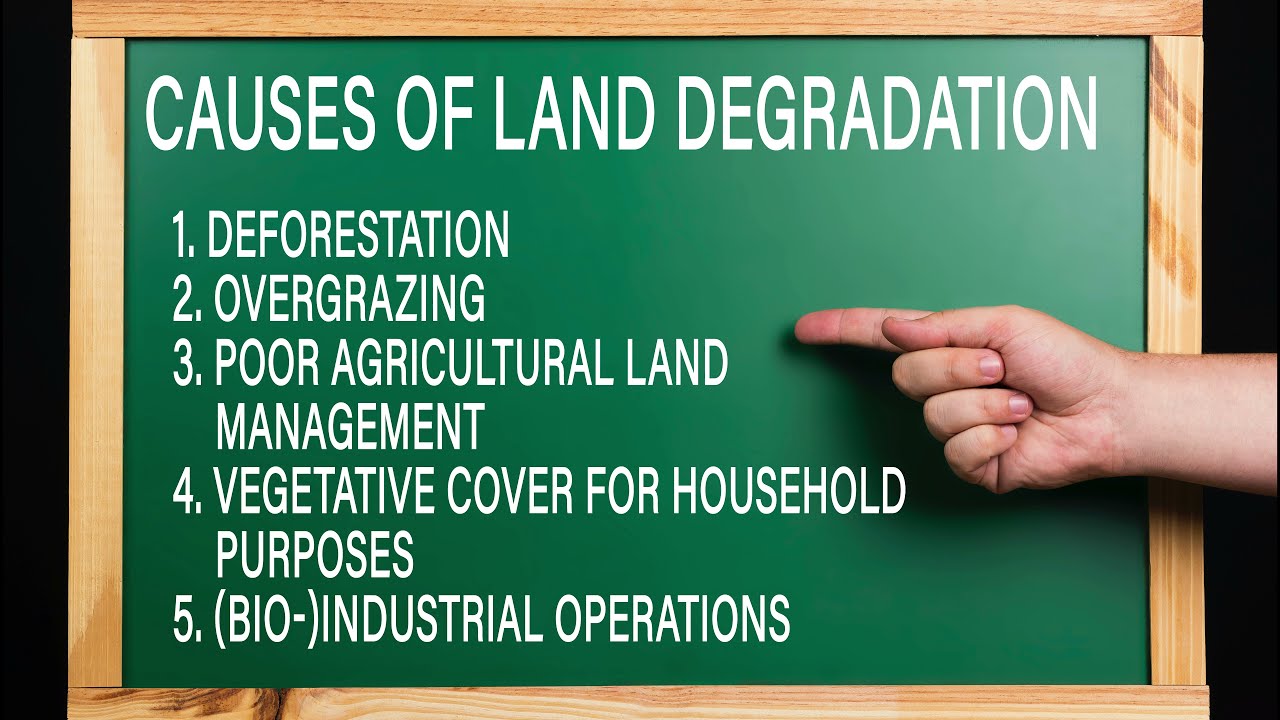 Changing landscapes - human causes and effects of land degradation