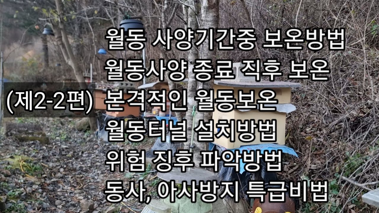 토종벌 월동관리(2-2)/월동보온