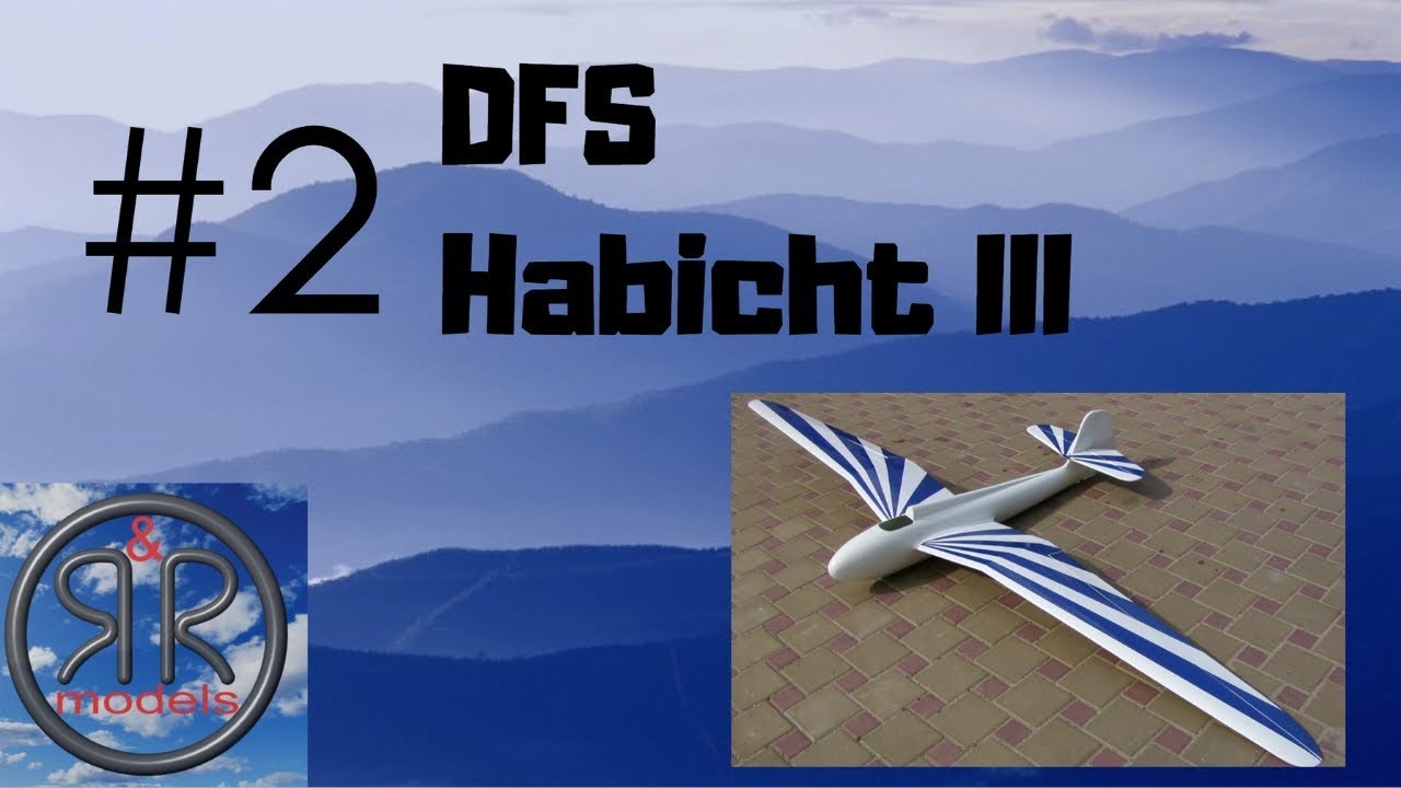 DFS Habicht - Model RC Scale Glider