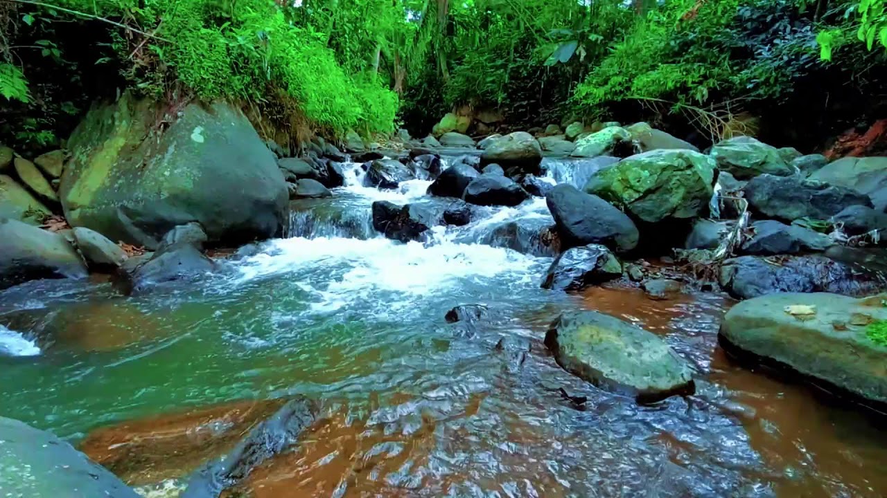 Gentle River Flow Soundscape in Hidden Forest Ambience for Deep Sleep and Relaxation