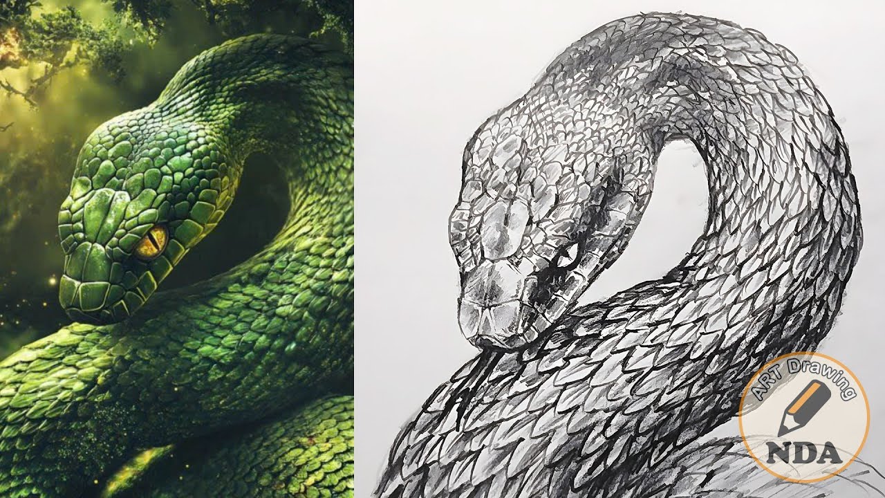 HOW TO DRAW A SNAKE - ART DRAWING NDA