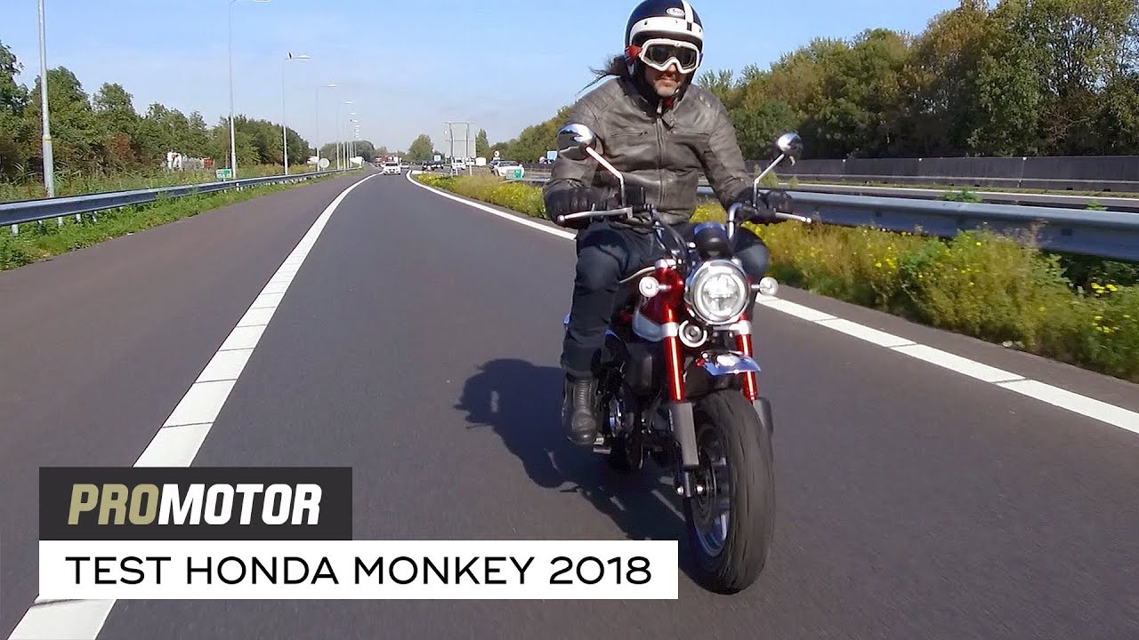 Honda Monkey 2018 - FULL TEST