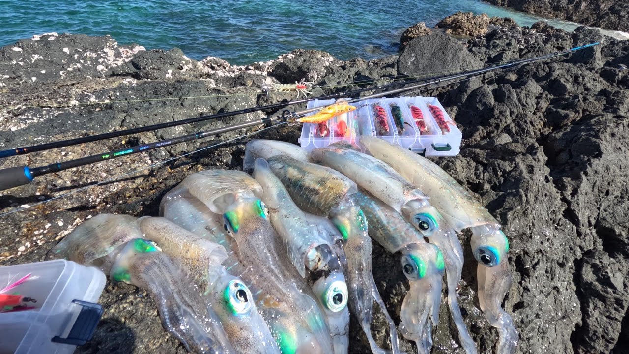Eging | The Art of Squid Jigging | February 17, 2023