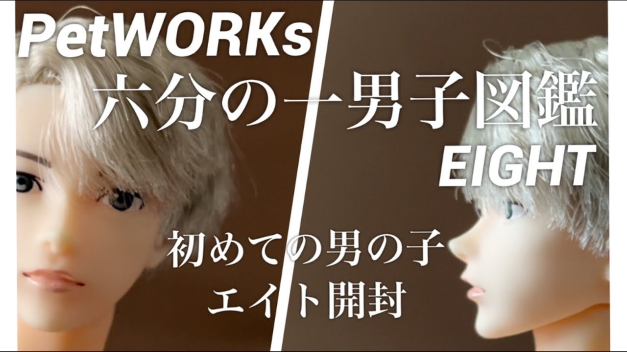 六分の一男子図鑑エイト開封！初めての男の子【ペットワークス】