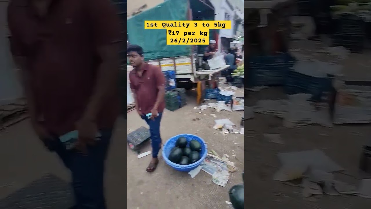 KR Market Bengaluru 🍉 Watermelon Price Today (Icebox Block Colour Watermelon) 26/2/2025