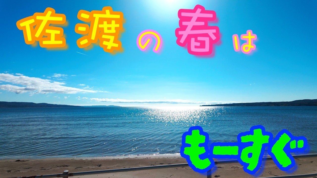 【春直前の佐渡】春の足音が聞こえてます♫　〜もうひとつの佐渡〜　episode 32