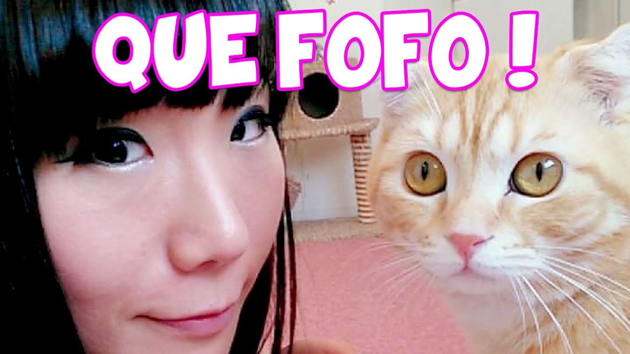 O Café dos Gatinhos (Neko Café)
