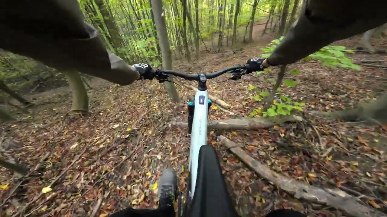 can&lsquo;t see the trail under the leaves / Focus Jam2 SL / Vienna