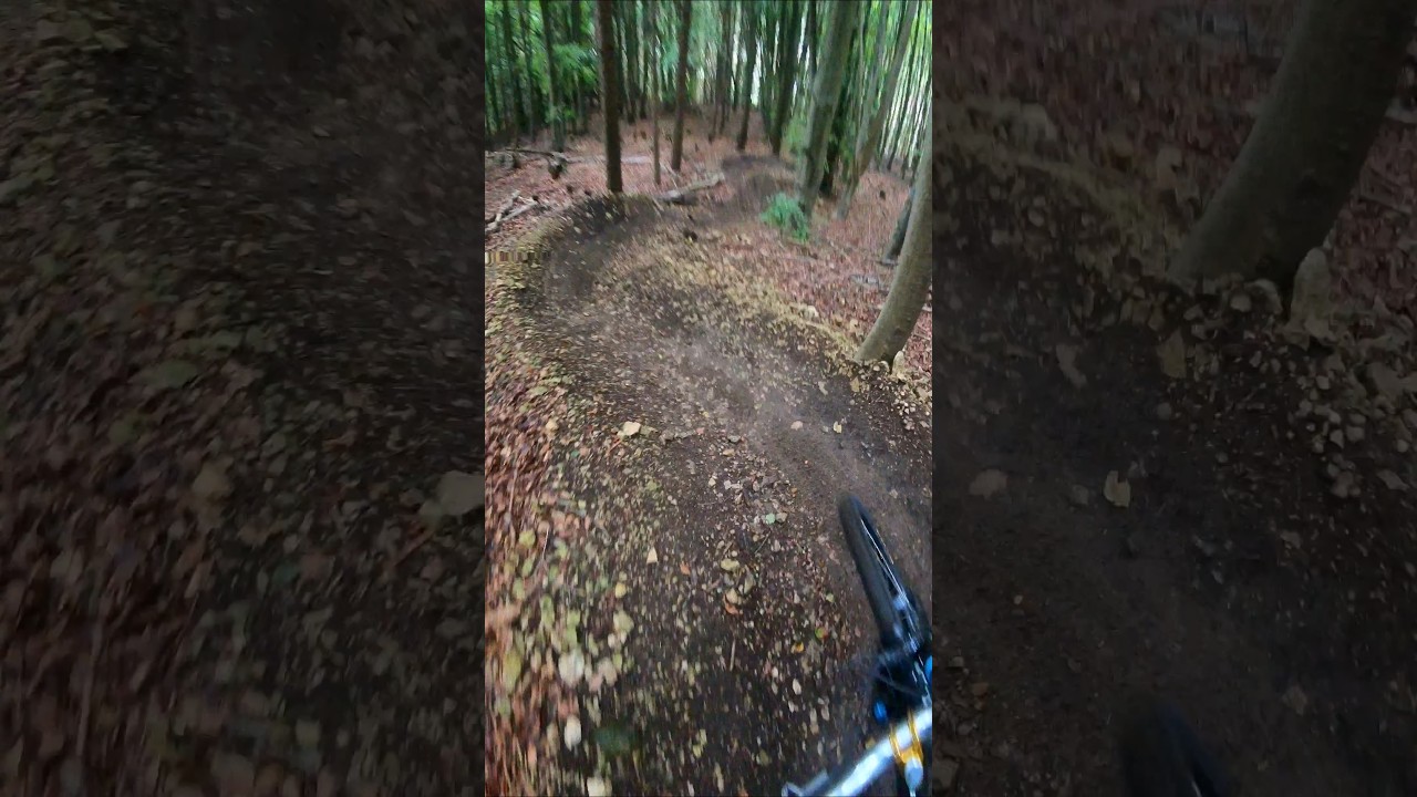 Monster Munch Off Piste Dalby Forest