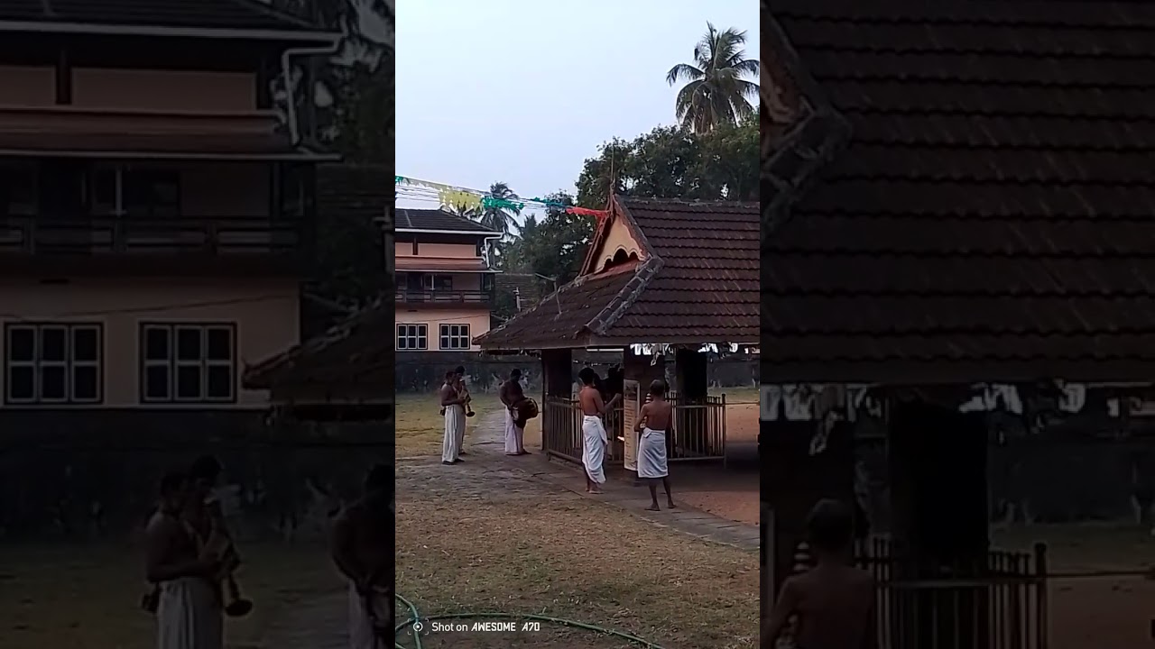 പ്രഭാത ശീവേലി എഴുന്നള്ളിപ്പ് 