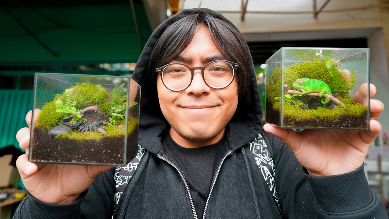 Cuanto cuesta Armar un terrario en el Mercado de Peces Morelos