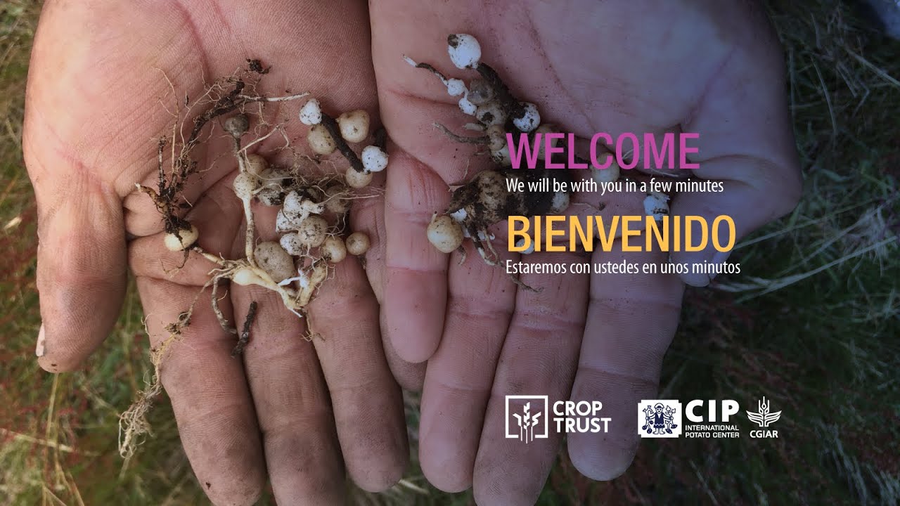Event: Use of potato wild relatives in pre-breeding for new genetic variability | DAY 1