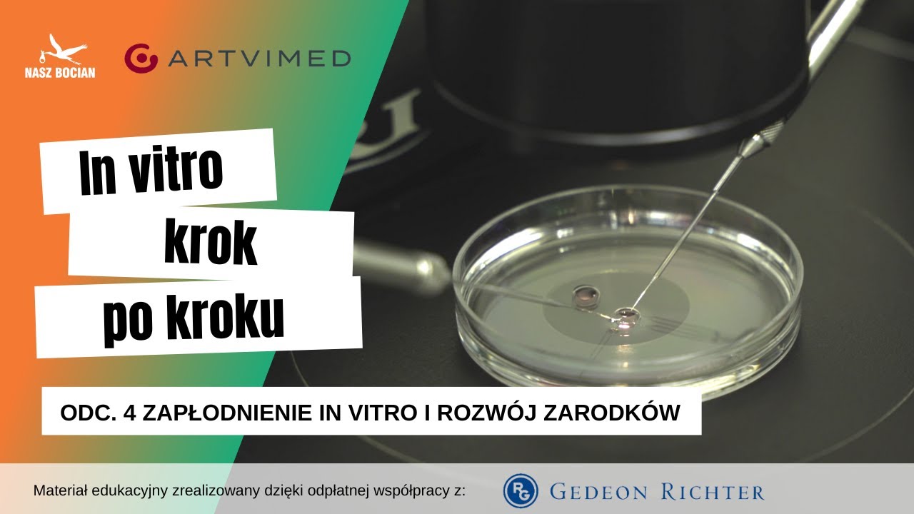 In vitro krok po kroku - odc. 4 Zapłodnienie in vitro i rozwój zarodków