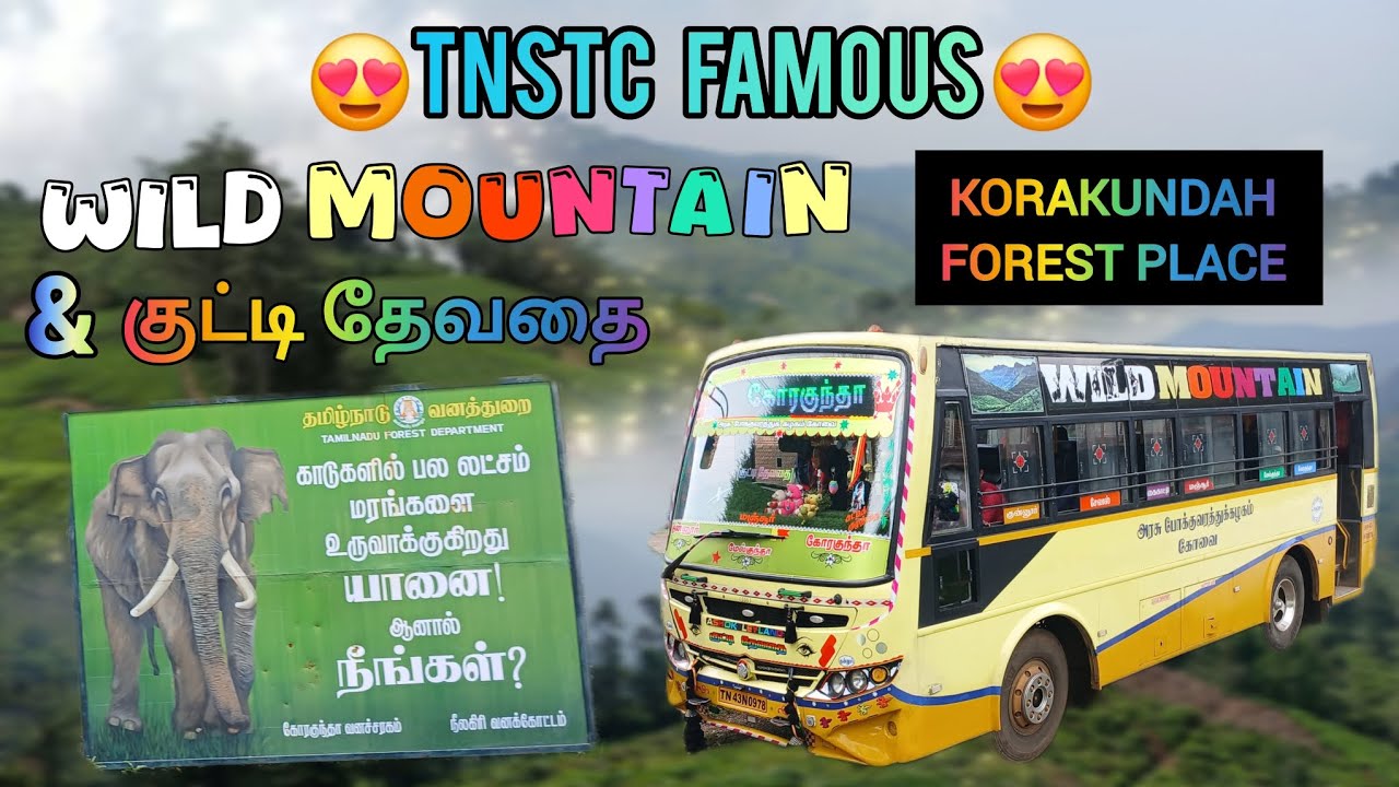 🔥Tnstc hills beauty "WILD MOUNTAIN" bus travel vlog !! Coonoor to korakundah "குட்டி தேவதை" 😍 !!