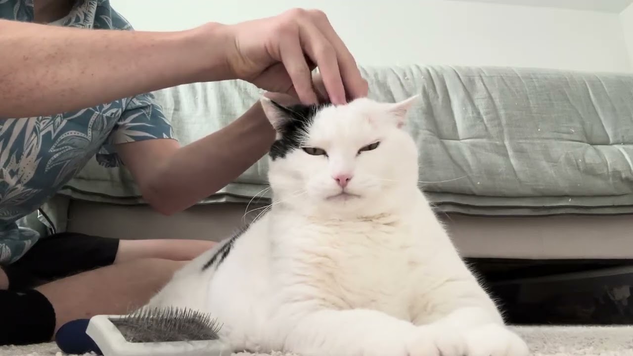 Jasmine&rsquo;s Head Massage