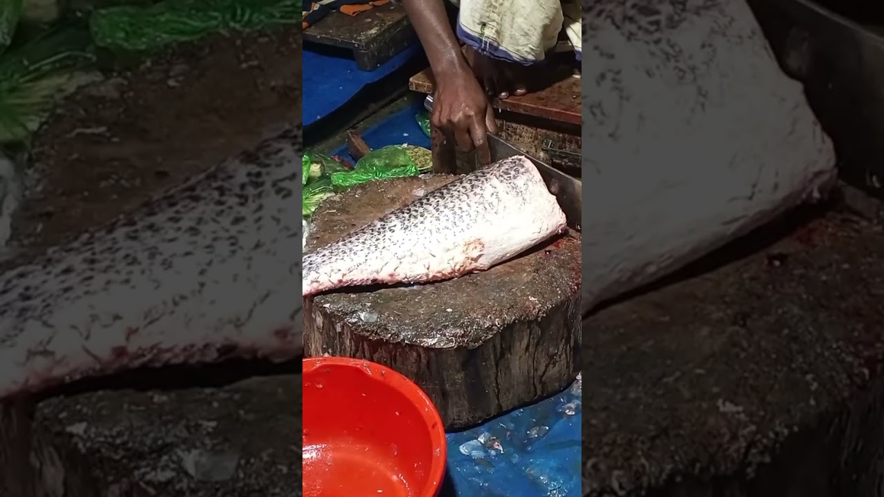 Live Fish Cutting From Market | Fresh Big Fish Cleaning & Smooth Professional Cutting Skills