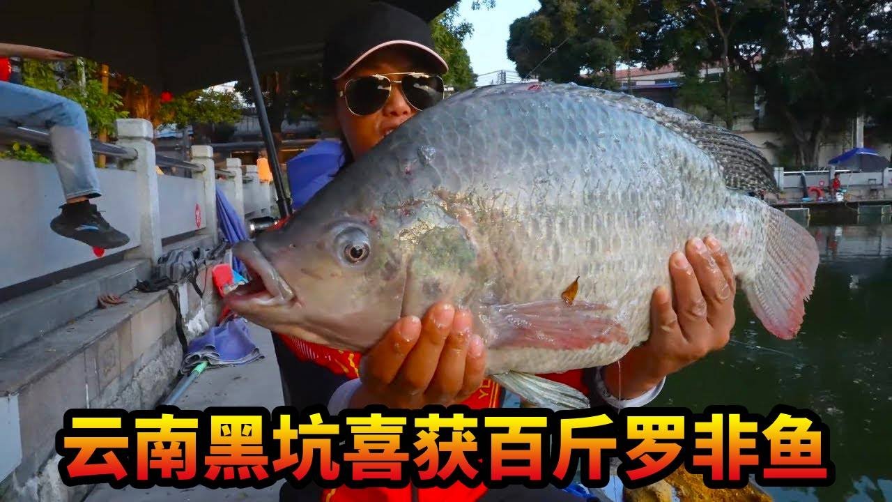 云南最后一战朗勒水库，遇到下雨差点车打窝，东哥采了一堆毒蘑菇差点没把我留下云南，云南很好玩，下次再来#游钓黑坑 #罗非鱼
