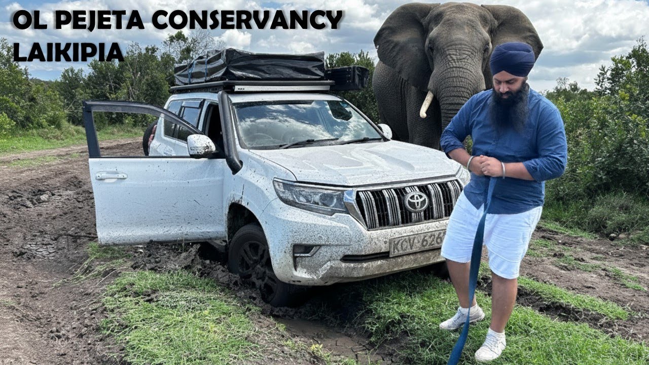 Got BOGGED in OL PEJETA next to a HERD of ELEPHANTS | SCARY MOMENT! | TRIP TO LAIKIPIA - 2025