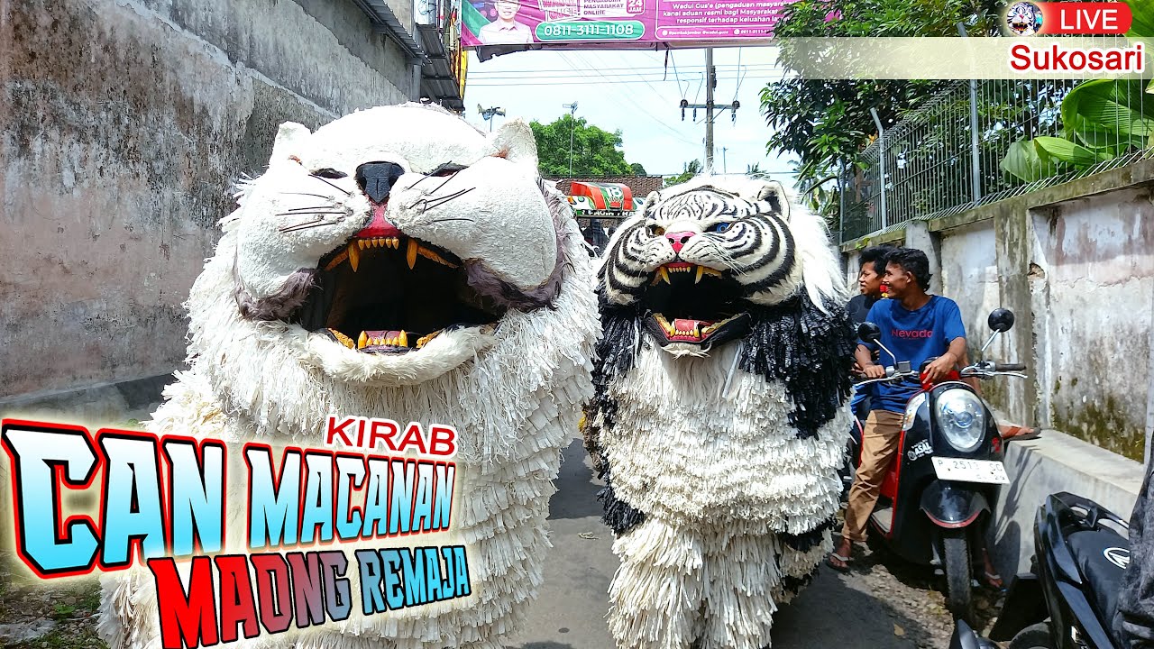 KIRAB CAN MACANAN MAONG REMAJA DI SUKOSARI SUKOWONO JEMBER