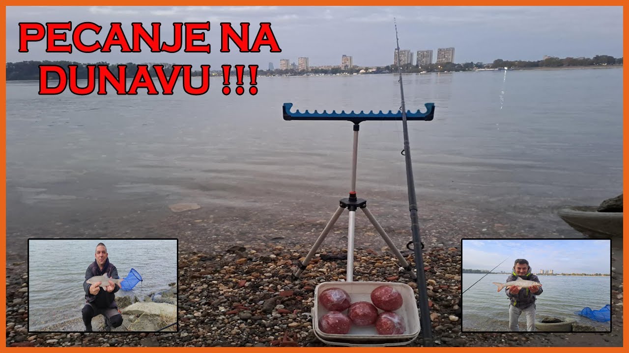 Pecanje na Dunav,Mrena,Plotica,Sljivar...