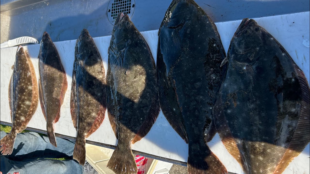 EPIC Two Man NJ Fluke Limit!!!