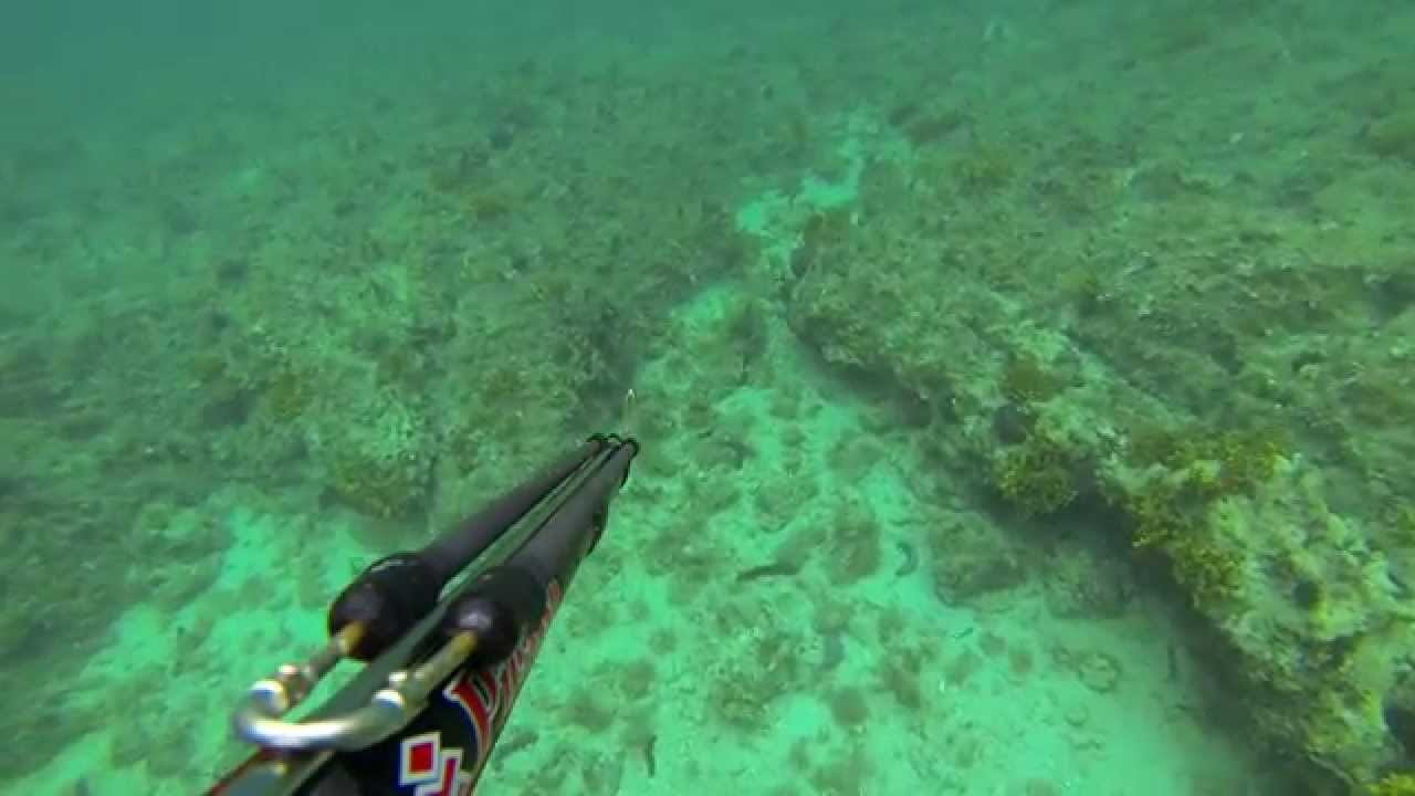 Spearfishing in Pag, summer 2014