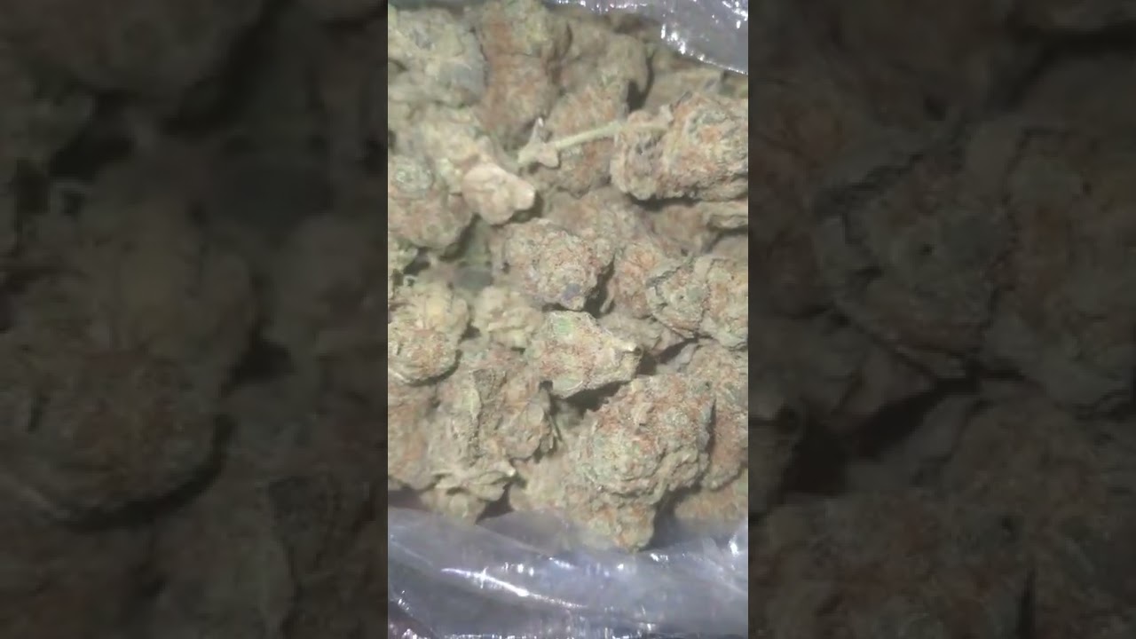 Exotik Bred Dirty sprite VS other hemp companies!! you see the difference!