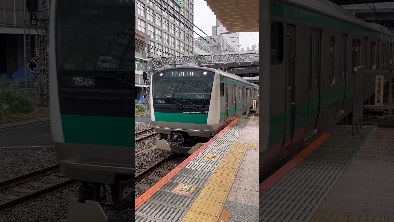 新宿駅到着埼京線各駅停車大宮行きE233系ハエ101