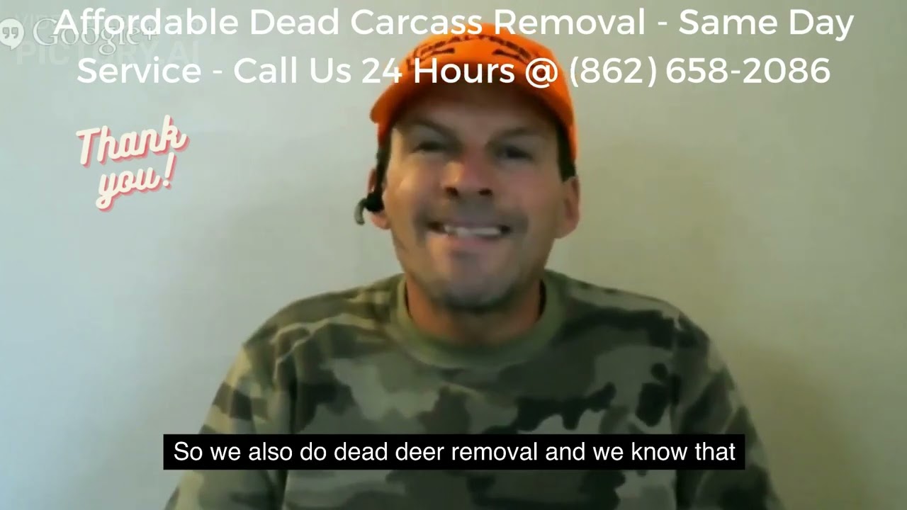 Dead Carcass Removal Near Me Montclair - Do You Need A Dead Carcass Removal Near Me !?