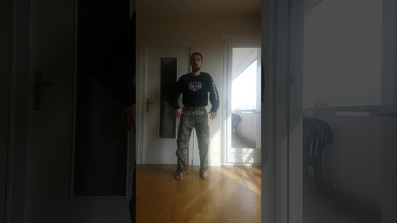 La marche au Systema (la base des déplacements)