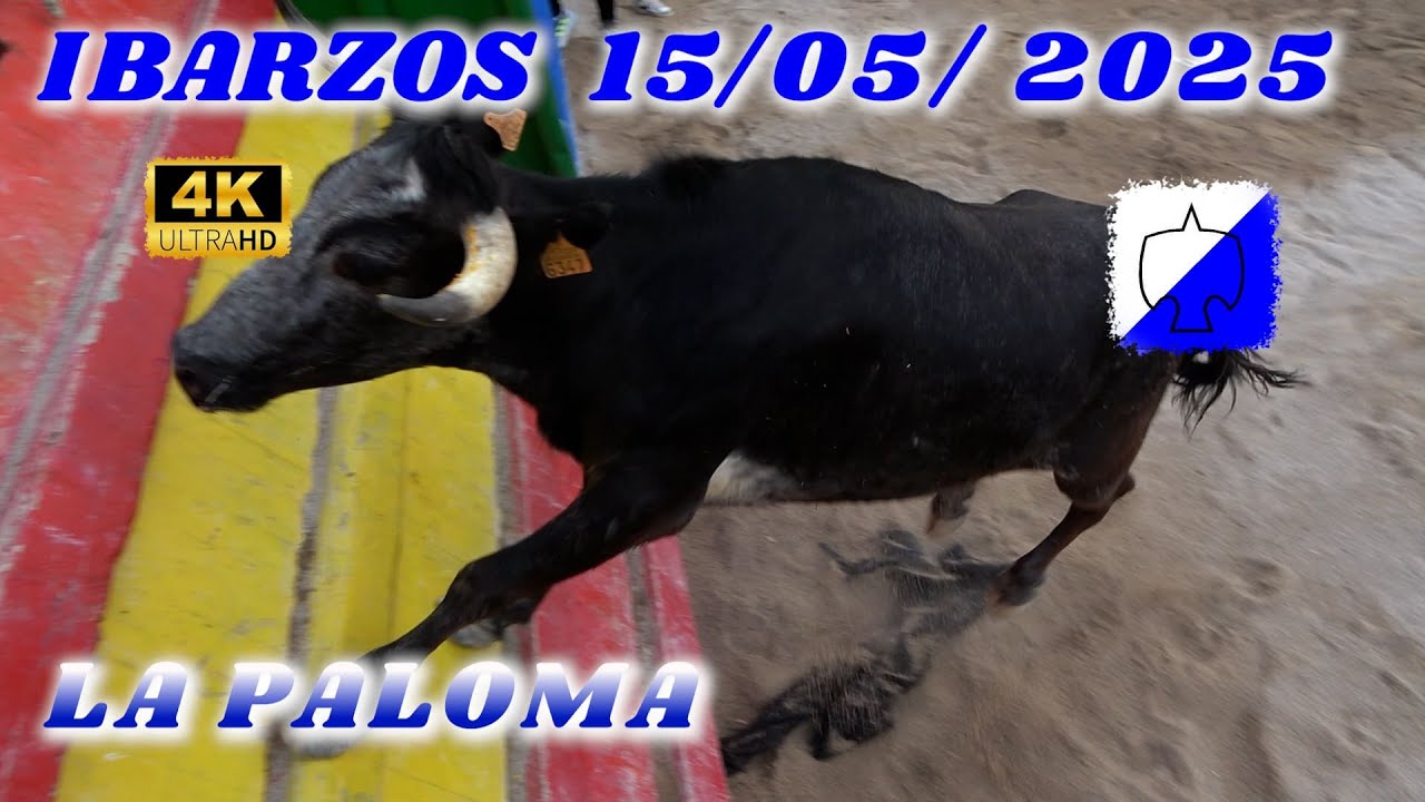 🔝😮‍IBARSOS 2025 LA PALOMA