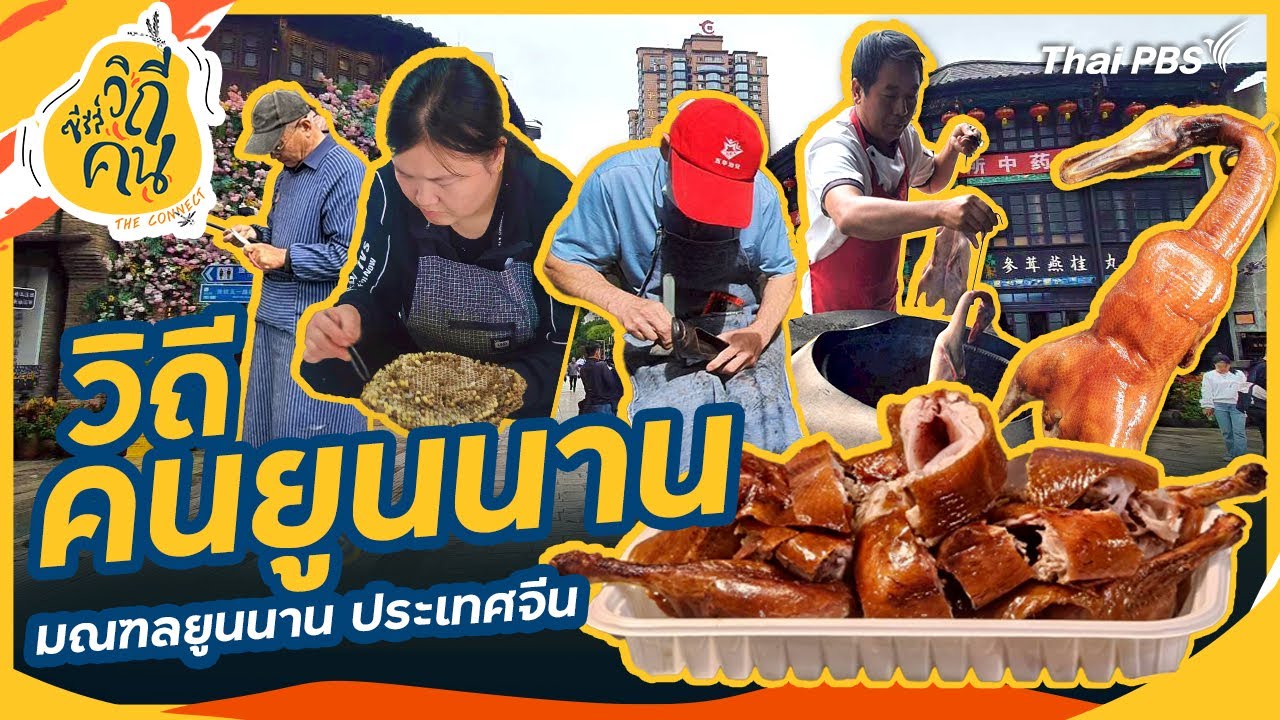 วิถีคนยูนนาน มณฑลยูนนาน ประเทศจีน | ซีรีส์วิถีคน