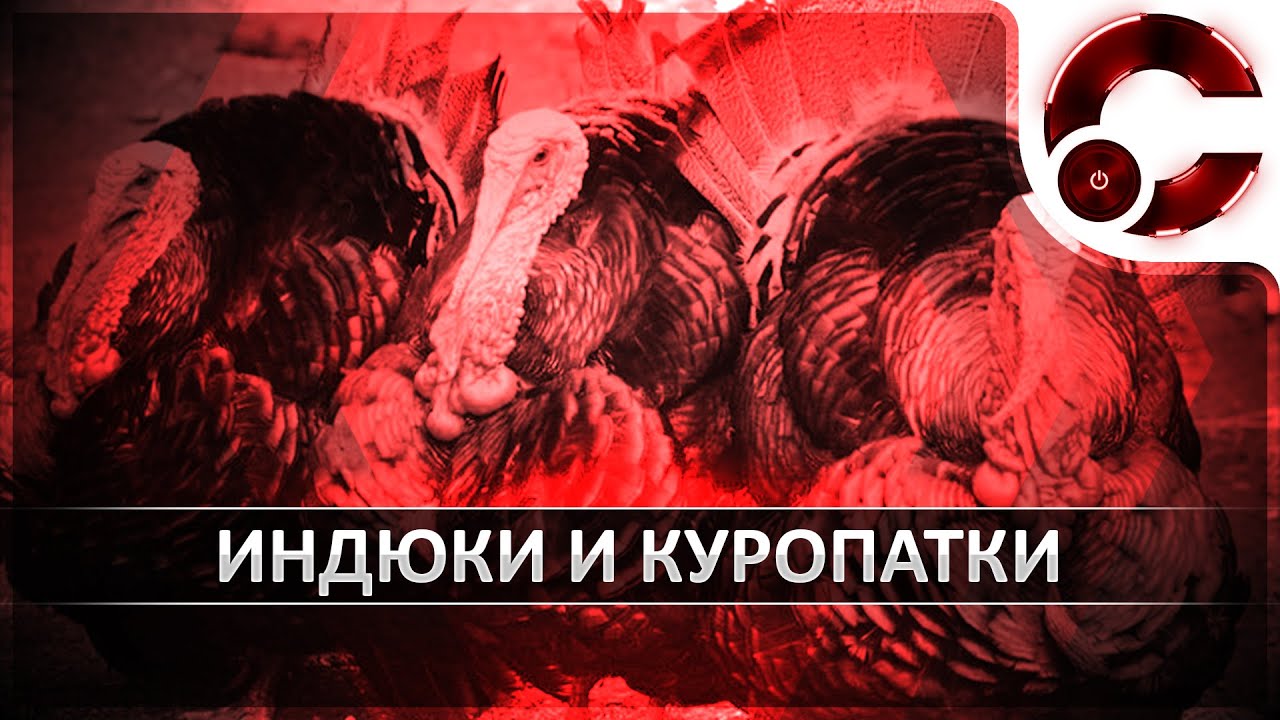 DOTA2: Индюки и куропатки в пати. Очередные истерики.