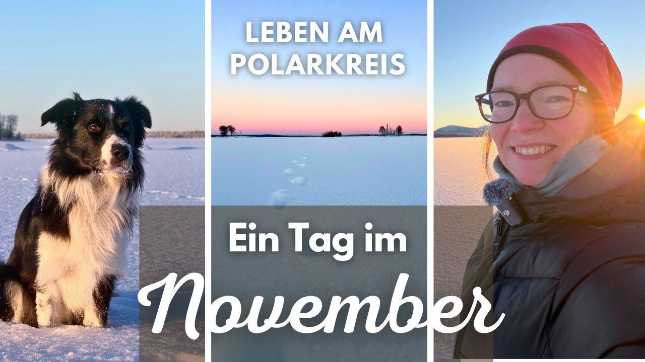🇸🇪 Polarkreis-Vlog: Ein ganz normaler Novembertag ❄️