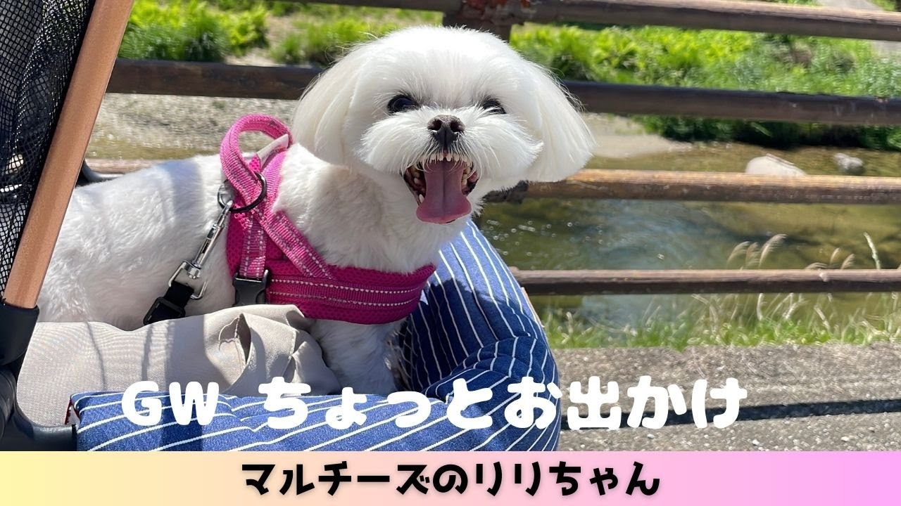 GWちょっとお出かけ