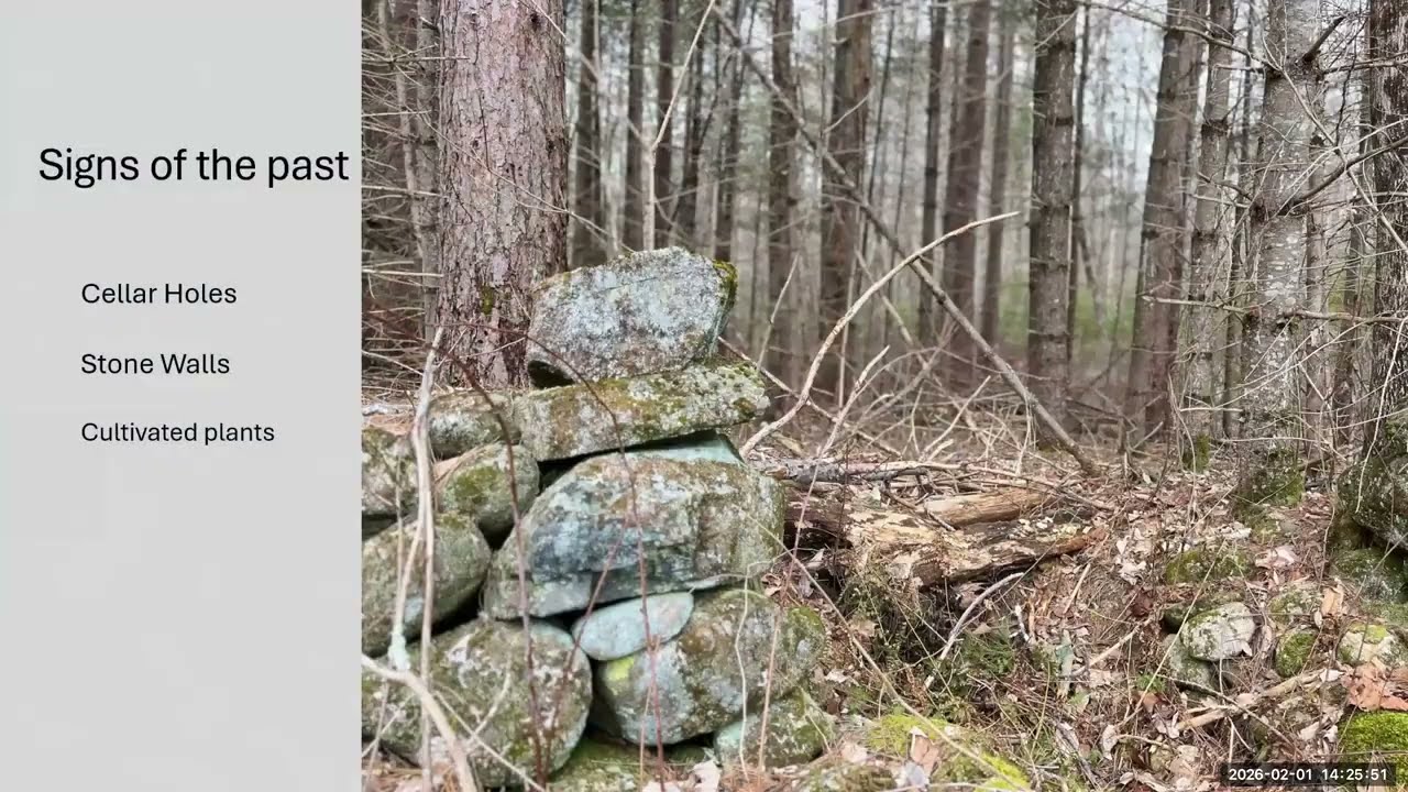 Virtual Hike of the Road to Dana Common