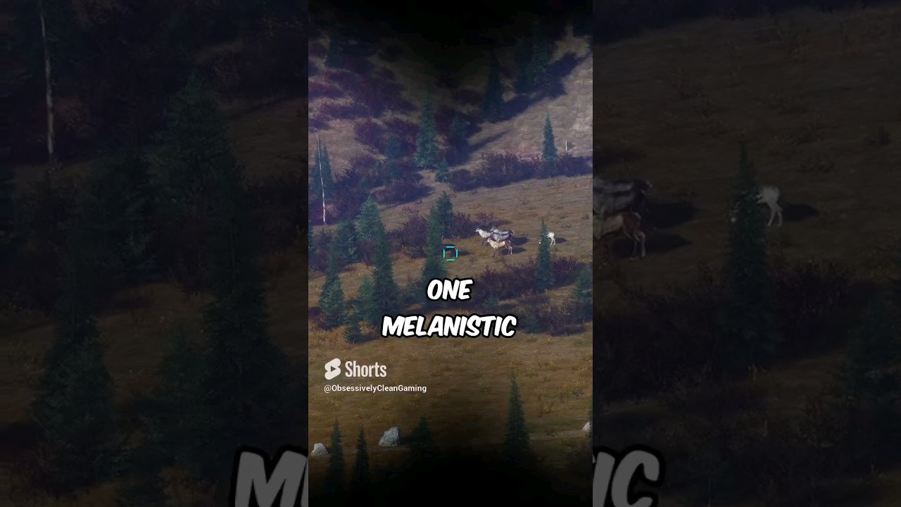 Insanely Rare Double Melanistic Caribou | Way of the Hunter #shorts #caribou #hunting