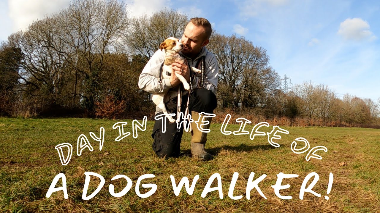 Join me on my morning's work as a Dog Walker! | Vlog |