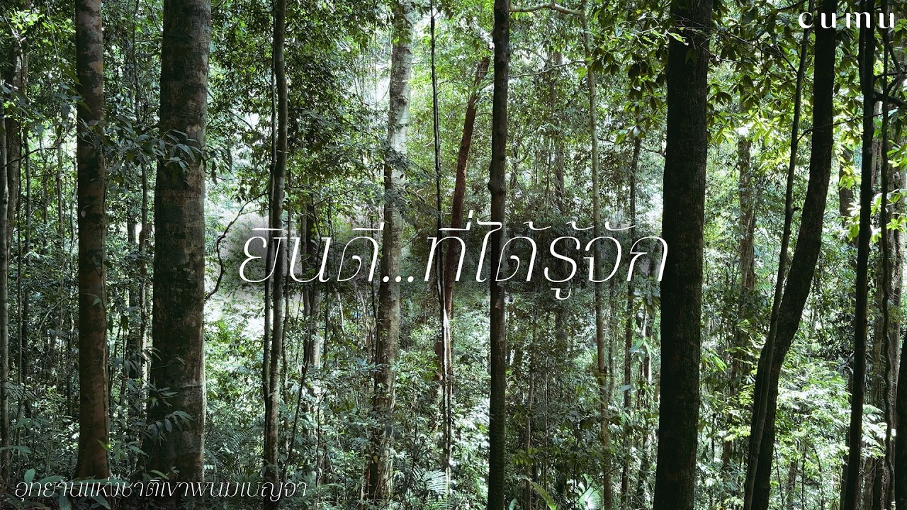 ป่าฐานที่ 1 : ยินดี…ที่ได้รู้จัก | อุทยานแห่งชาติเขาพนมเบญจา | เรื่องเล่าจากผืนป่า